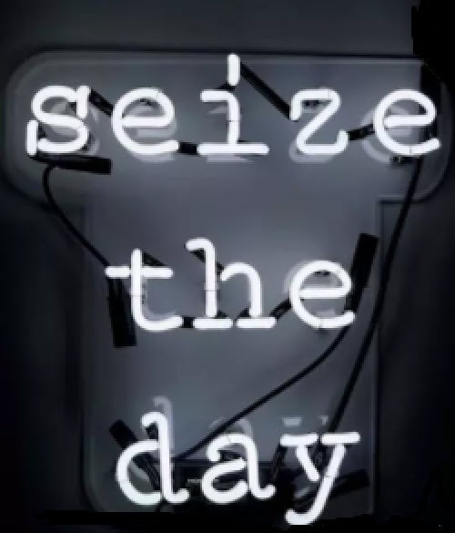 Seize the Day Neon Sign