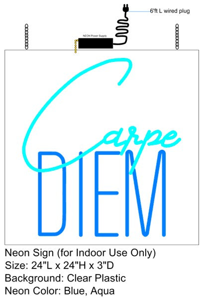 Carpe Diem Neon Sign
