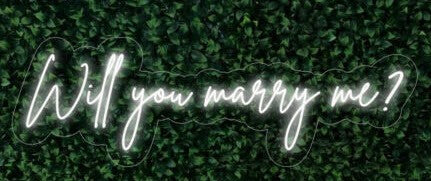 Will you marry me LED FLEX Sign